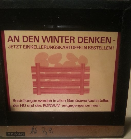 Kinodia Einkellerungskartoffeln DDR