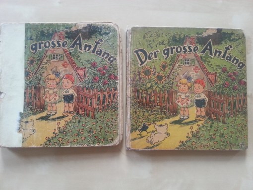 Putzi Buch Der grosse Anfang