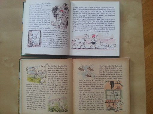 Putzi Buch Zu Viert in Wald und Feld